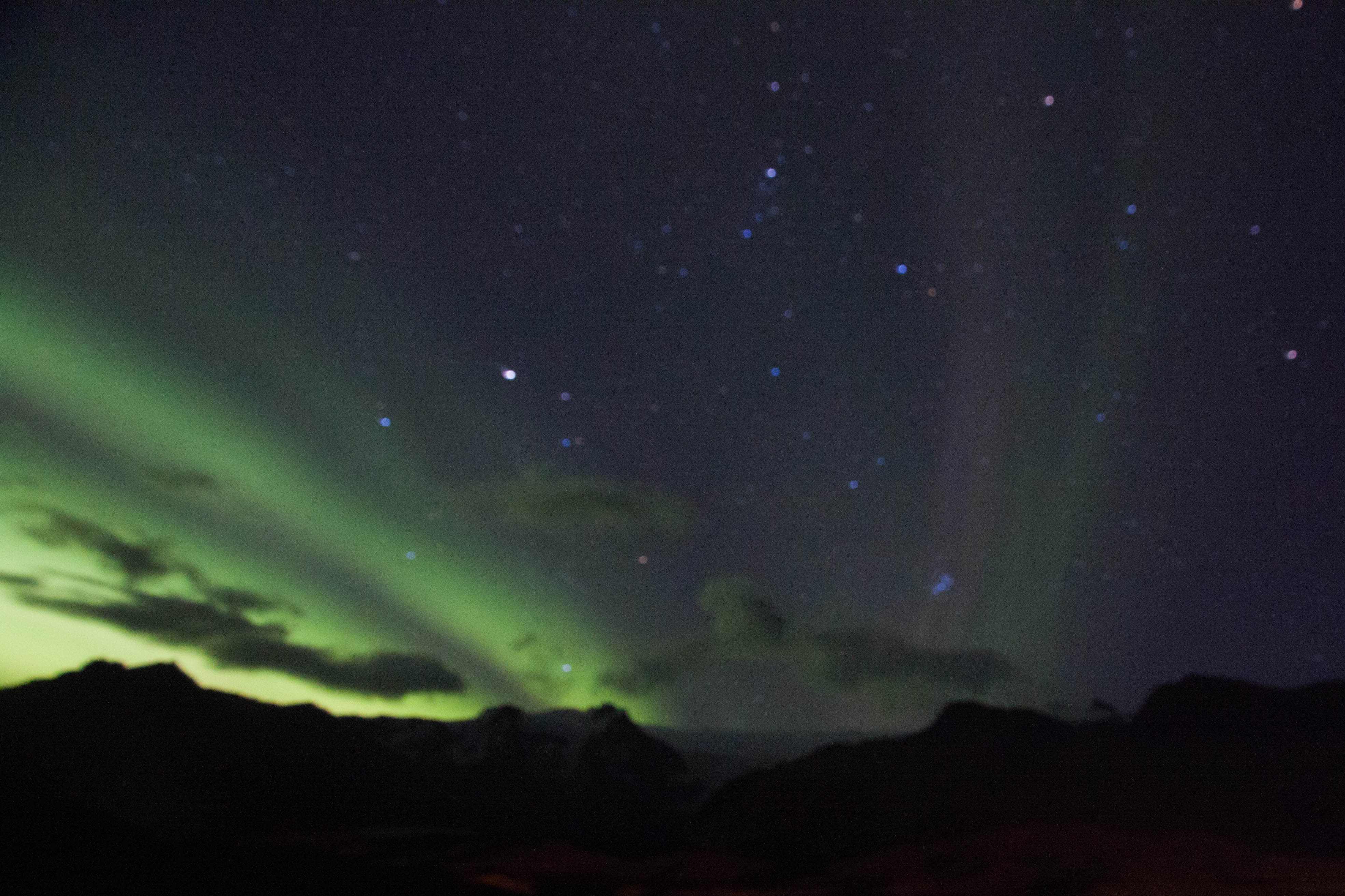 aurora borealis in Iceland