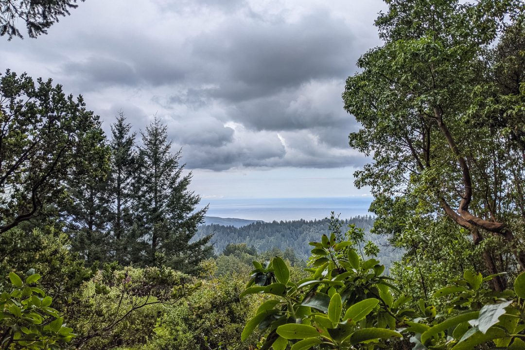 El Corte de Madera Creek Preserve