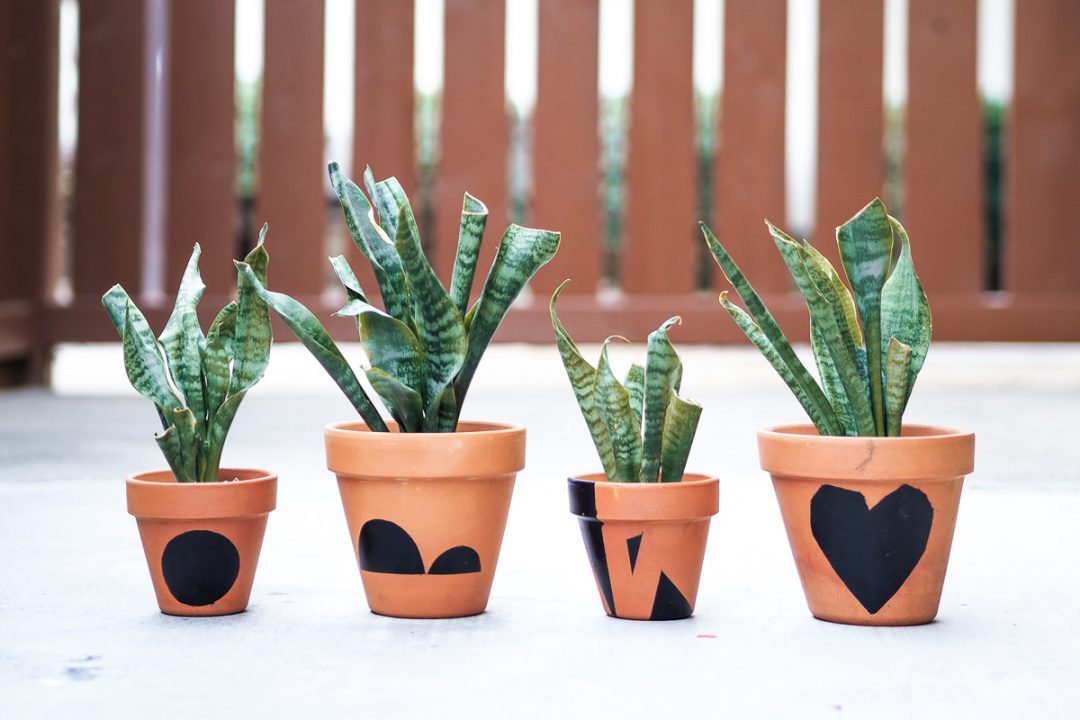 DIY customized terracotta pots